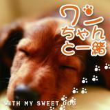 Tide Is High/KIDS REGGAE摜