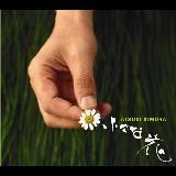 PT `CHE SARA`/ؑ[摜