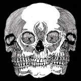 DONT TELL ME WHAT TO DO/CEREBRAL BALLZY摜