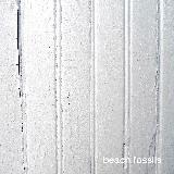 Gathering/Beach Fossils摜