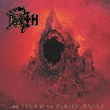 Flesh and Power It Holds/Death摜