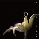 I/[ l摜