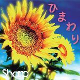 F/Sharp摜