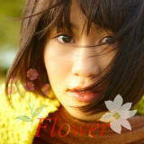 Flower/Oc֎q摜