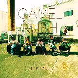 ROCK DISCO/Camel Rush摜
