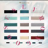 Time Capsule/SLY MONGOOSE摜