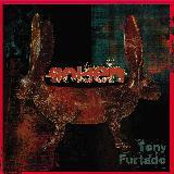 Cant Lie Down (album)/Tony Furtado摜