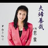 vwP/R摜