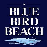 ė2011 `L~͂Ȃ`/BLUE BIRD BEACH摜