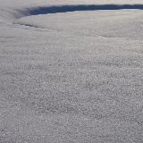 xn/Laika Came Back摜