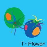 `FWO p[gi[/T-Flower摜