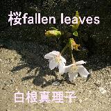  fallen leaves/^q摜