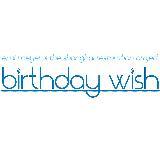 Birthday Wish (Frosted Mix)/Emi Meyer, The Shanghai Restoration Project摜