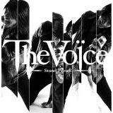 Never Surrender/ SHO 摜