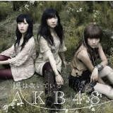 Shtg(:A_[K[Y g)/AKB48摜