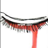 not learn by experience/wipe摜