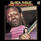 Keep Loving Me Baby/MAGIC SAM摜
