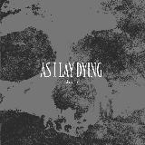 From Shapeless to Breakable/AS I LAY DYING摜