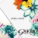 white novels/GAKIDO摜