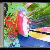 TadaYou/TAKAHASHI KIMIHIRO摜