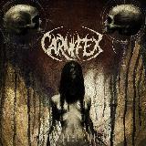 Wretched Entropy/Carnifex摜