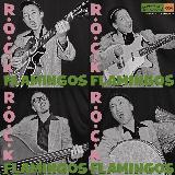 Please Don???t Step On My Guitar/R.O.C.K FLAMINGOS摜
