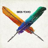 Plans/Birds Of Tokyo摜