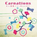  + - Wonder/Carnations摜