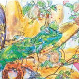 o@[[!!/VY삪Xc~yPaRADEiSz摜