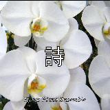 Ă܂(uAei 푈̏_v)/Kyoto Piano Ensemble摜