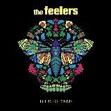 Whats The Meaning?/The Feelers摜