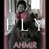 Fly/Ahmir摜