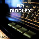Who Do You Love/Bo Diddley摜
