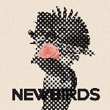 Bells And Whistles/Newbirds摜