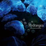 Hydrangea/a crowd of rebellion摜