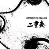 ˂/BUZZ THE BEARS摜