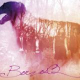 Chaos ballad/BORZOIQ摜