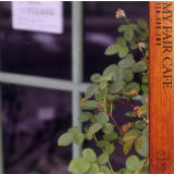 ӂł/CASHMERE NOTE摜