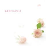 ҂l/MIKU摜