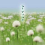 킽̉/Kozue摜