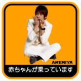 Ԃ񂪏Ă܂/AMEMIYA摜