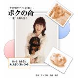 {N̖`20L̃ybgB̑z`/^bY摜