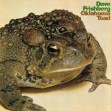 Rocky Mountain Water  (Producers mix)/Dave Frishberg摜