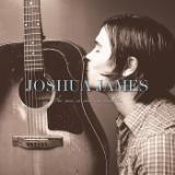 Geese/Joshua James摜