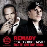 DO IT ON MY OWN feat. CRAIG DAVID/REMADY摜