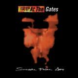 Terminal Spirit Disease/At The Gates摜