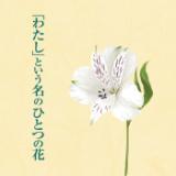 u킽vƂ̂ЂƂ̉/YAMAREI摜