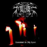 Beyond The Spiritual Moon/Diabolical Masquerade摜