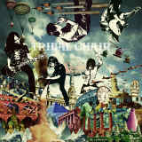 Time again/TRIBAL CHAIR摜