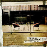 Probability Of The Mind/TRIBAL CHAIR摜
